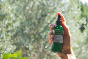 Botanical Blessings Rose Hydrating Facial Mist